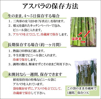 楽天市場 送料無料 ホワイトアスパラ M 2lサイズ混合 1kg前後 美味しい旬の北海道産白いあすぱらを産地直送 早朝採れたてホワイトアスパラ ガスが食べられるのは春だけ アスパラベーコンなど料理多彩 グルメ食品 野菜 きのこ アスパラガス ホワイトアスパラガス