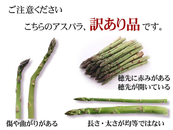 楽天市場 送料無料 朝採りアスパラガスが2種類の味が楽しめるセット 合計2kg グリーンアスパラ1kg ホワイトアスパラ1kg 美味しい旬の北海道産 美瑛産 名寄産 あすぱらを産地直送 アスパラベーコンなど料理多彩 北海道の海鮮お取り寄せ かに太郎
