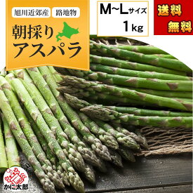 予約商品 送料無料 グリーンアスパラガス　M〜Lサイズ混合　1kg前後　アスパラ 北海道 産地直送 美味しい旬 アスパラガス 北海道産（美瑛 名寄 旭川） あすぱら 早朝採れたて ギフト 野菜 朝採り 新鮮 お取り寄せ