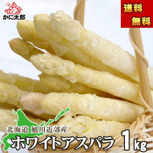 2026Ns\ () zCgAXpKX@M`2LTCY 1kgO@{ kCY ς Yn ̂ꂽ zCgAXpĤׂ͏t AXpx