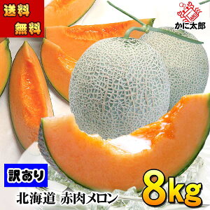 2026Ns\ () 󂠂  kCY ԓ@v8kg Ɩp̂킯胁 ɂpł܂BPA ʕ {̃t[cO (̃Mtg)
