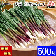 予約商品 (送料無料) 北海道春野菜 天然 行者にんにく　500g前後　旬の北海道産春野菜、行者ニンニクを産…