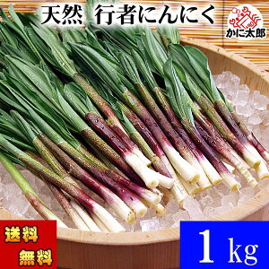 2026Ns\ () kCt VR s҂ɂɂ@500gO@{̖kCYt؁As҃jjNYnBMEWjjN̓ACklMAqgrALgrƂĂ΂