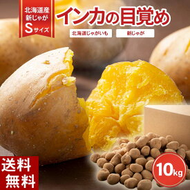 (送料無料 Sサイズ) 北海道産じゃがいも　インカの目覚め　10kg(新ジャガ　インカのめざめ・芋)栗のような甘さ、希少種のジャガイモです。北海道グルメ食品 野菜・きのこ ジャガイモ インカのめざめ