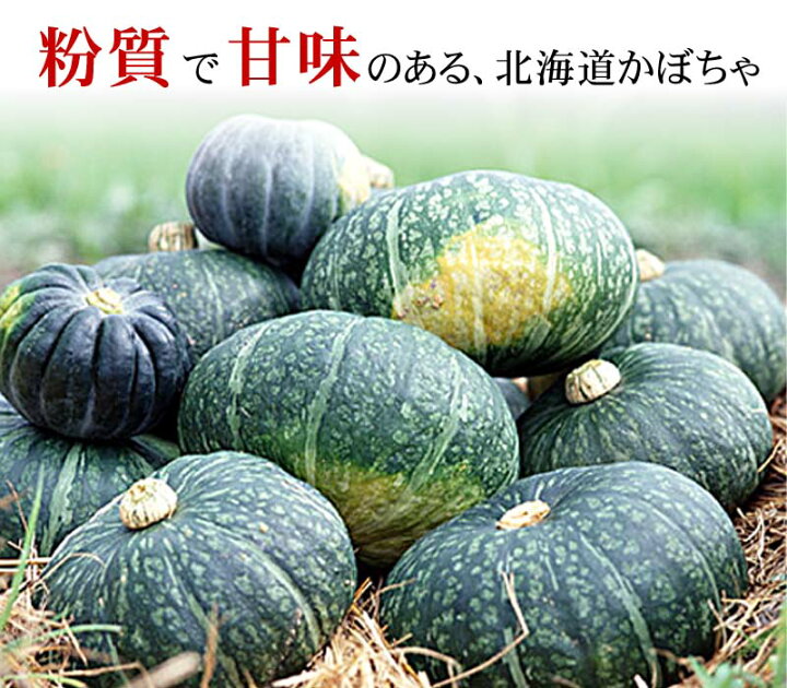 楽天市場 送料無料 北海道産カボチャ 栗将軍 10kg前後 5 7玉入り 粉質でホクホクな南瓜 てんぷらやかぼちゃスープ かぼちゃの煮物など 様々料理にご利用できる緑黄色野菜です 北海道グルメ食品 野菜 きのこ かぼちゃ 北海道の海鮮お取り寄せ かに太郎