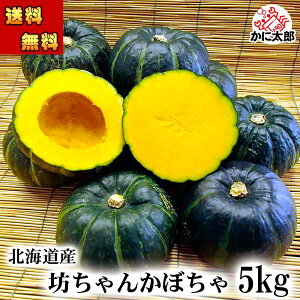 () kCY  J{` V񂩂ڂ@5kgO(8`12ʓ) ŃzNzN Z ĂՂ₩ڂX[vAڂ̎ϕȂǁAlXɂpł ΉF kC