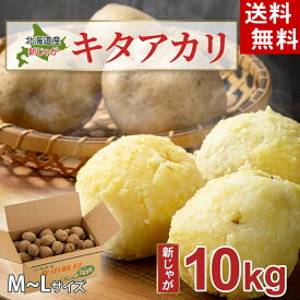 (送料無料) じゃがいも 北あかり　10kg(新ジャガ・芋・栗ジャガ・キタアカリ)　北海道産のジャガイモ、きたあかりです。肉じゃが、じゃがバター、コロッケの調理に。北海道グルメ食品 野菜・きのこ ジャガイモ キタアカリ