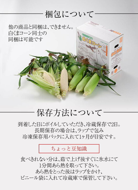 楽天市場 8月配送 早期予約 送料無料 白いとうもろこし 旭山動物園白くまコーン 白いトウモロコシが10本入り 北海道スイートコーン ピュアホワイト ホワイトレディー 生とうきび 生なんば朝採りの珍しい野菜 ホワイトコーン グルメ 野菜 きのこ とうもろこし