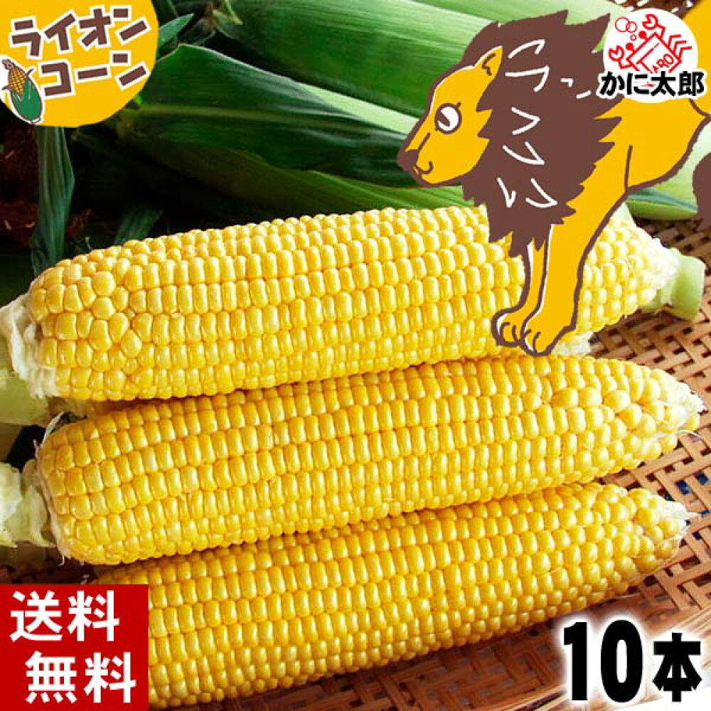 楽天市場 農産品 旭山動物園とうもろこし 白くま ライオンコーン 北海道の海鮮お取り寄せ かに太郎