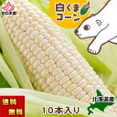 予約商品 送料無料 白い とうもろこし　旭山動物園 白くまコーン　6本／10本入り 北海道産 トウモロコシ スイートコー…