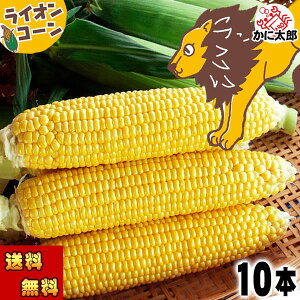2026Ns\ ()F̂Ƃ낱@RCIR[ (kCYXC[gR[ S[hbVEقԃR[)Ê̖؁AYn̊ÂgE