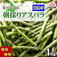予約商品(送料無料) 訳あり グリーンアスパラガス　北海道産（美瑛 名寄 旭川）1kg前後　お徳用 アスパラ…