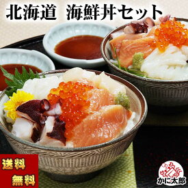(送料無料) 北海道海鮮丼セット　いか 秋鮭 たこ ほたて いくら醤油漬け 北海道産の魚介類で彩り豊かでご飯が贅沢に イカ サケ タコ ホタテ イクラ ご飯のお供 食品 魚介類・水産加工品 セット・詰め合わせ