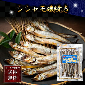 ポイント消化 珍味　乾物　食品(メール便なら送料無料) シシャモ磯焼き　152g　柔らかくて香ばしい北海道の珍味、シシャモの磯焼きです。薄味の醤油で味付けし、ししゃもを干した後焼き上げました。北海道おつまみ乾物 グルメ食品 酒の肴つまみ