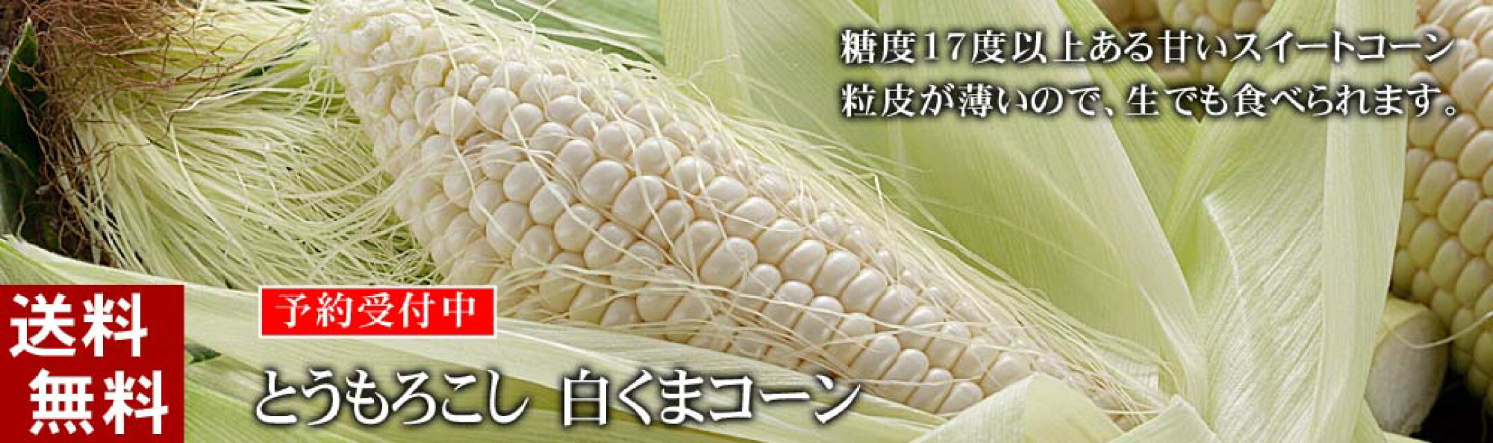 白くまコーン