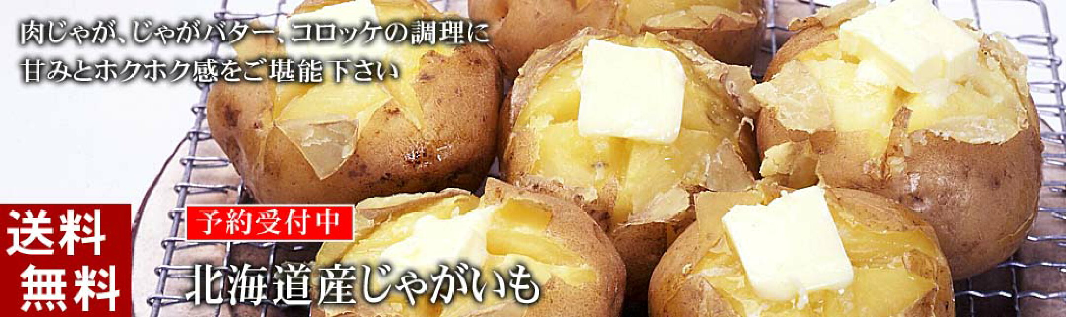 白くまコーン