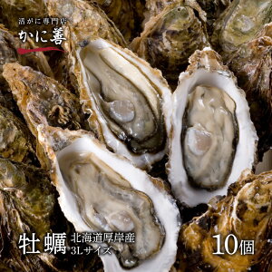 ギフト 牡蠣 殻付き 生牡蠣 カキ 北海道 厚岸 3Lサイズ(約10個) 冷蔵 マルえもん ギフト 内祝い お返し 未冷凍