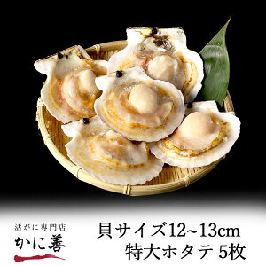 殻付き ほたての人気商品 通販 価格比較 価格 Com 殻付き ほたての人気商品 通販 価格比較 価格 Com