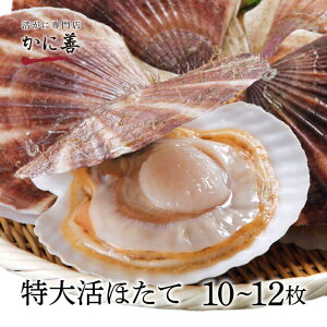 Mtg ق   kCY 嗱 z^e (10`12) kt ①  ÂՂ̊L hg Mtg Ⓚ ̓ ̓ ̂ݑ550~ NNnws