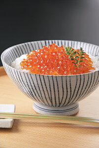 Mtg  kCY   ݖЂ (500g) 瘥 CN Mtg j Ԃ ̓ ̓ ̂ݑ550~ NNnws