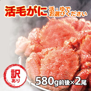   Jj 󂠂 уKj Zbg уKj 580gO×2 kCY ① {CΉ ъI т  I hg Ⓚ ̓ ̓ ̂ݑ550~ NNnws