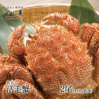 楽天市場 北海道かに善は鮮度と味重視の蟹専門店 過去最高の旨さ とカニ通に好評 北海道のカニ専門店 かに善 トップページ