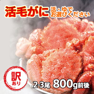  уKj Zbg уKj 󂠂 2`3 (v800gO) kCY ① {CΉ ъI т  I hg Ⓚ ~VfړXɂD]̋ɏ уKj kCY ̓ 