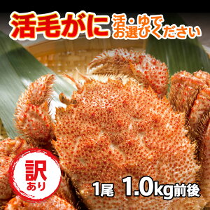  Ԍ 󂠂 уKj Mtg уKj 1 (1.0kgO) kCY ① {CΉ ъI т  Ⓚ I hg Mtg j Ԃ ̓ ̓ ̂ݑ550~