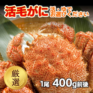  kCY I уKj 1 (400gO) ① {CΉ Mtg уKj ъI т  I hg Ⓚ j Ԃ ̓ ̓