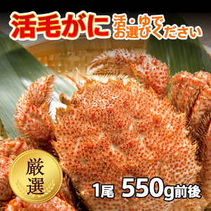  kCY I уKj 1 (550gO) ① {CΉ Mtg уKj ъI т  I hg Ⓚ j Ԃ ̓ ̓