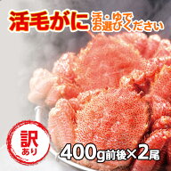 送料無料 訳あり 活毛ガニ 2尾(400g前後×2) 北海道産 冷蔵 毛蟹 毛がに 活かに 活蟹 刺身も 未冷凍 母の…