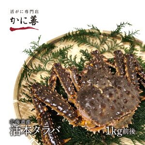 北海道産 お買い得 活 タラバガニ カニ 1尾 1.0kg前後 冷蔵 活たらば 未冷凍 沖縄のみ送料550円増 年末年始指定不可