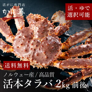 �������� �k�C���Y ����i �^���o�K�j �J�j ���� 2kg�O�� ���i�� �① ���H�� ���Ⓚ ����� ����Ԃ���Ԃ�Ă��J�j�A�����Ă����� �H�׉��������Ղ� �z�[���p�[�e�B�[ �M�t�g ���j�� ����