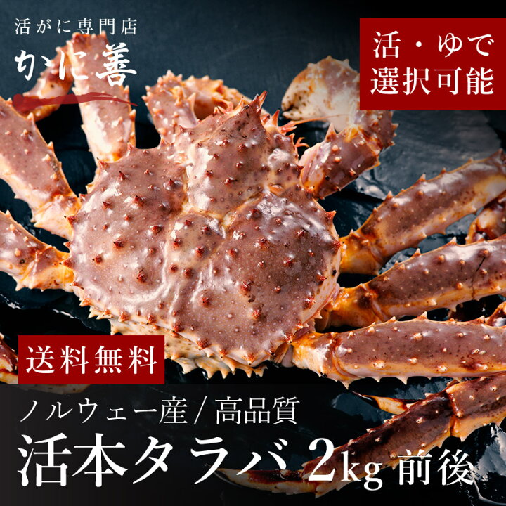 楽天市場 送料無料 限定品 タラバガニ カニ 活で 2kg前後 高品質 冷蔵 生食可 未冷凍 しゃぶしゃぶや焼きカニ 蒸しても美味しい 食べ応えたっぷりホームパーティーギフト 内祝い お返し 北海道のカニ専門店 かに善