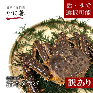 タラバガニ 生食の人気商品 通販 価格比較 価格 Com タラバガニ 生食の人気商品 通販 価格比較 価格 Com