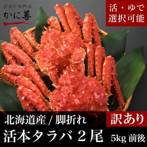 1XSi10%OFF ʌ ʉi  kCY 󂠂 ^oKj 2 v5kgO r܂  ① H Ⓚ  Ԃ ĂJj Ă H׉Ղ 