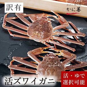  kCY  YCKj 󂠂 300gO×4 킢 hg  Hł܂ Ⓚ ̂ݑ550~ NNnws