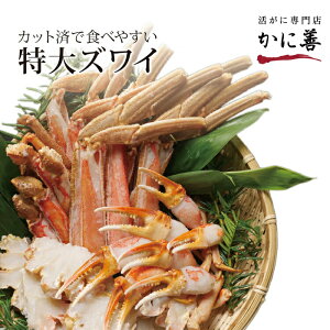 菤i Mtg YCKj n[tJbg ĂKj 킢I lߍ킹 500g×2 |[V p ϔ Ⓚ o[xL[ Ε j Ԃ