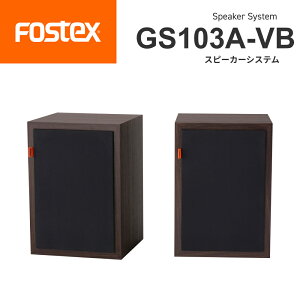 FOSTEX GS103A-VB Xs[J[VXe tHXeNX K̔X v~AtWjbg 10cm