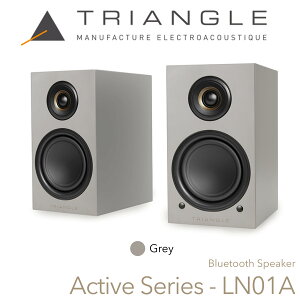 TRIANGLE Active Series LN01A ubNVFtXs[J[ yA ubNVFt HiFi tX ANeBuXs[J[ Bluetooth aptX tHm optical TuE[t@[o  Xs[J[ ቹ z[VA