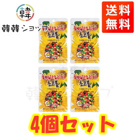 ★メール便送料無料★ひまわりチョコ4個セット★/チョコレートをコーティング/ビタミンE豊富/香ばしいひまわり/カラフルなチョコレート