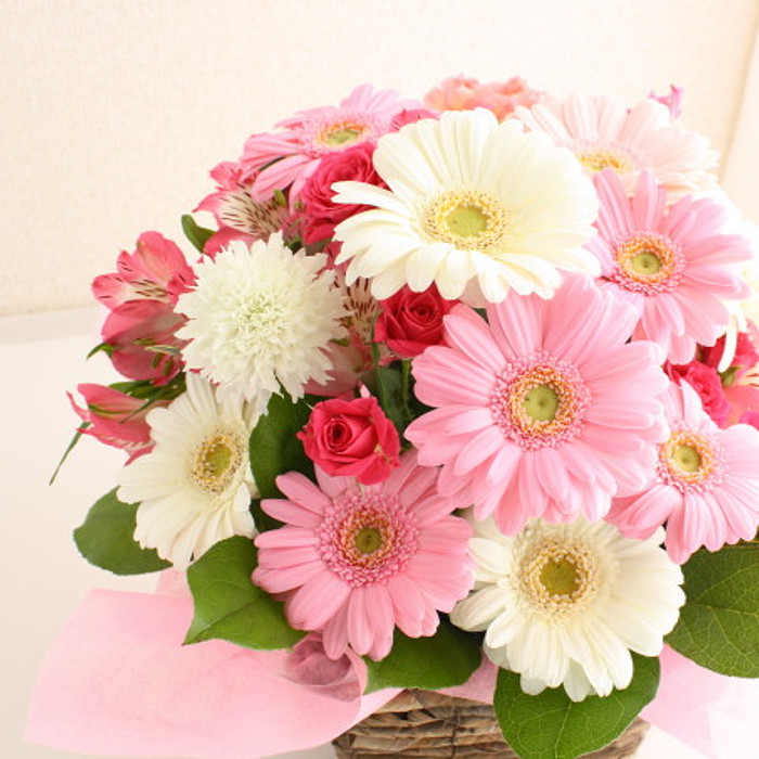 楽天市場】【新鮮な花をお届け】ガーベラいっぱいのアレンジメント