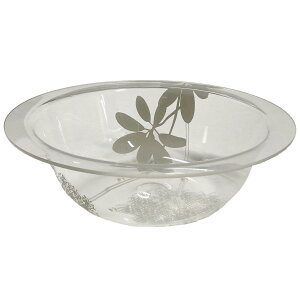 Ti AN EHbV{[ NA ioX`FAʔj