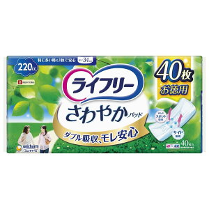 Ct[ ₩pbh 220cc ɑƂ1ňSp 40 34cmyAꂪCɂȂz