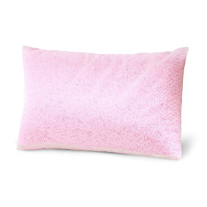 ACXvU  { ߉ ʋC n[hpCv ق肪oɂ ET|[g ې􂢉 ɂ bV STCY sN