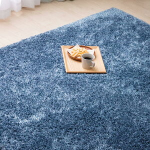 ACXI[} J[ybg O VM[O 185×240cm S4.5cm ~ߕt zbgJ[ybgΉ 3 ͂H Չ z k  }bg ACRS-1824 CfBS