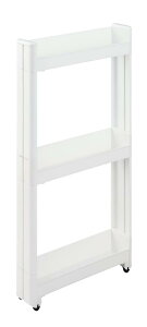 sZ X}[gS Fit W100 55-3i 10.5×s55×76.2cm F-2572