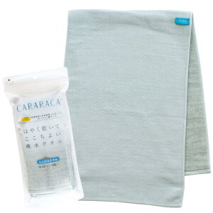�I�J(OKA) �~�j�o�X�^�I�� ���x�ǍD�J�����J ��34cm×100cm �O���[�� (�z�� ���� ���x�ǍD �R�ۖh�L) 4548622805611
