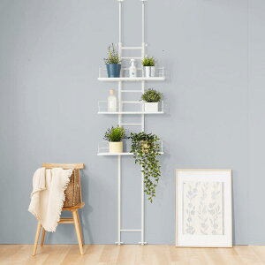 ACXvU h[bN  @bN ˂莮 h[bN 60cm 8iK  RDLK-2660WT zCg×zCg