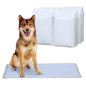 ACXI[} ybgV[c ^ 1ĝ R L ^E^ _uCh 200 (P[X̔)